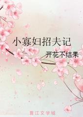 小寡妇招夫记小寡妇招夫记